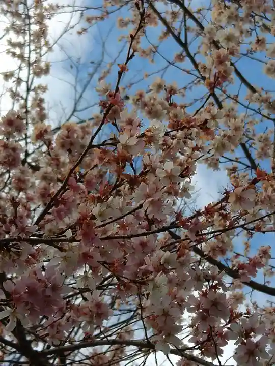雲光院(東京都)