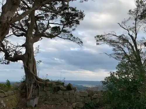 琴平神社の景色