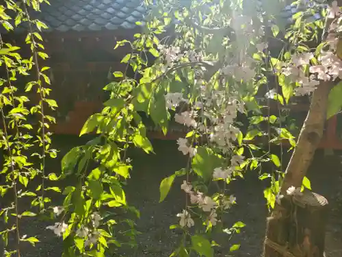 冠稲荷神社の自然