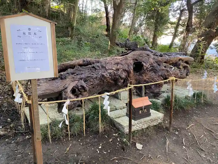 泉神社(茨城県)