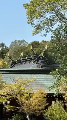 橿原神宮(奈良県)