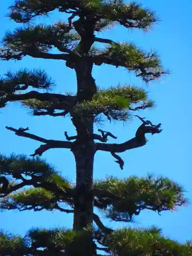 安楽寺(滋賀県)