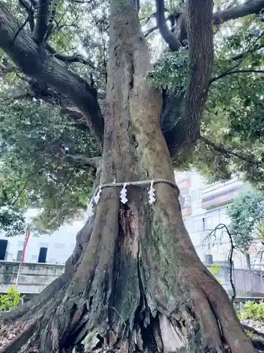 音無神社(静岡県)