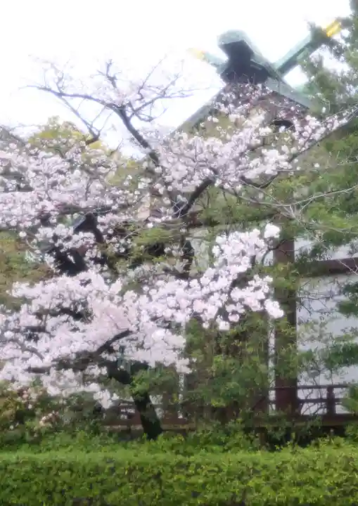 稲毛神社の自然