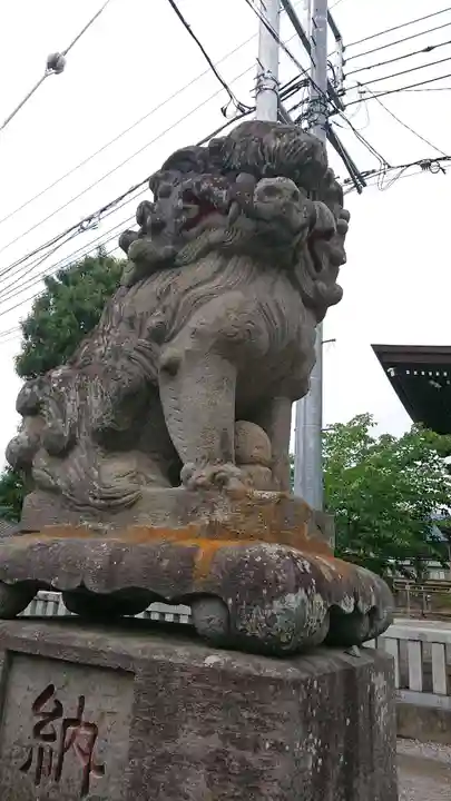 御崎神社の狛犬
