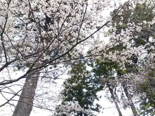 日朝寺(新潟県)