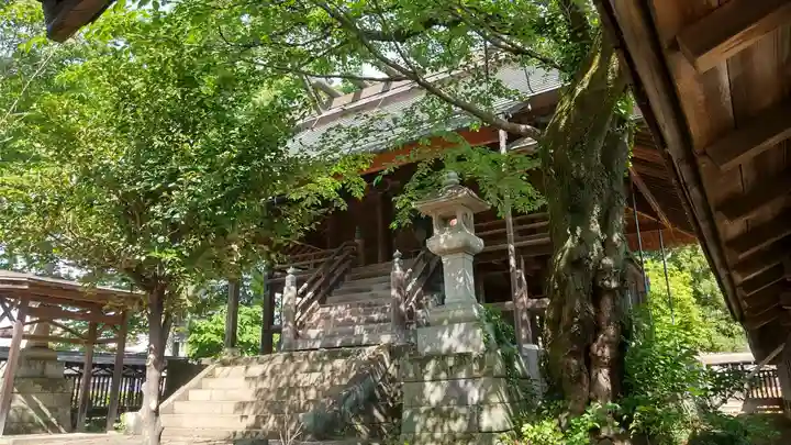 神明宮の本殿・本堂