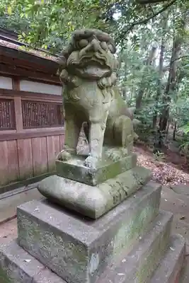 往馬坐伊古麻都比古神社の狛犬