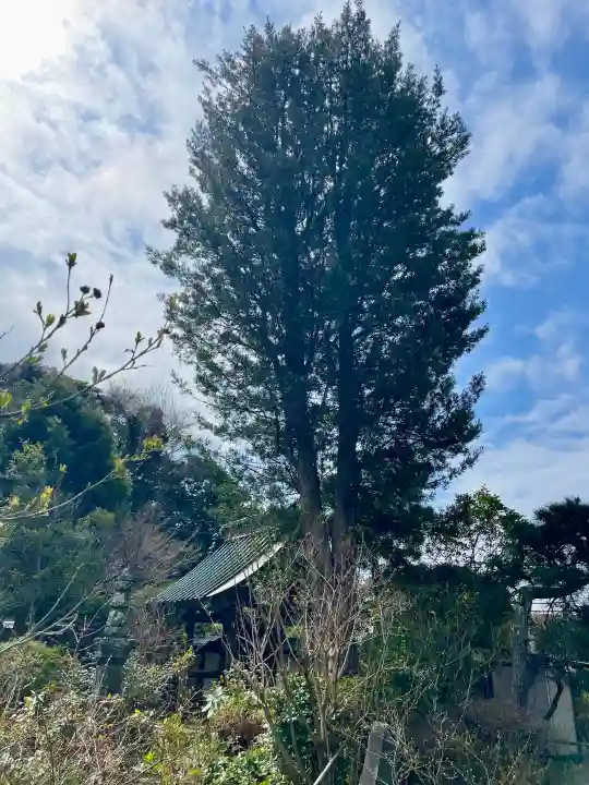 妙法寺の{uncategorized: "未分類", other: "その他", undefined: "問題あり", building: "その他建物", grave: "お墓", sacred_gate: "鳥居", guardian: "狛犬", statue: "像", buddha: "仏像", history: "歴史", nature: "自然", garden: "庭園", animal: "動物", pagoda: "塔", temizu: "手水舎", mountain_gate: "山門・神門", sanctuary: "本殿・本堂", subordinate: "末社・摂社", art: "芸術", scenery: "景色", jizo: "地蔵", ema: "絵馬", goshuin: "御朱印", omikuji: "おみくじ", items: "授与品その他", amulet: "お守り", goshuincho: "御朱印帳", eats: "食事", festival: "お祭り", votive_dance: "神楽", shichigosan: "七五三参", wedding: "結婚式", experience: "体験その他", initially: "初詣", around: "周辺", anti_infection: "感染症対策"}