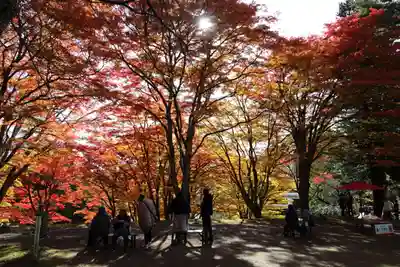 土津神社｜こどもと出世の神さまの景色