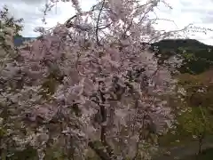 金峯山寺(奈良県)