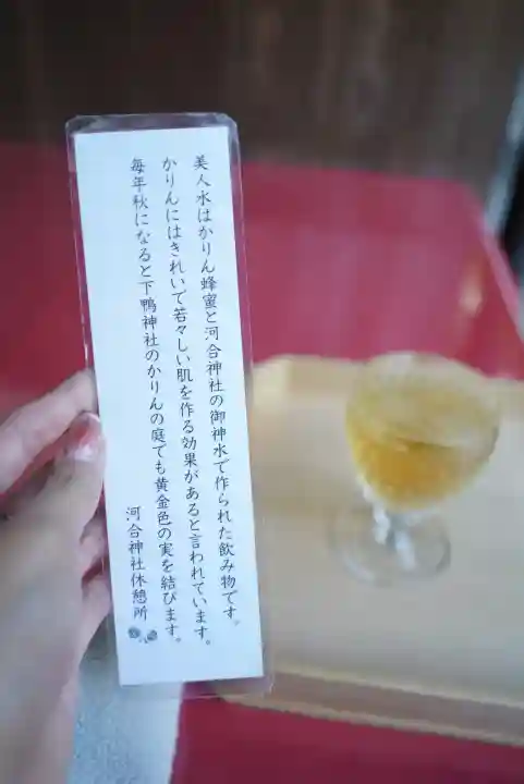 河合神社(鴨川合坐小社宅神社)(京都府)