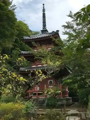 三室戸寺の塔