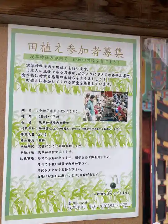 浅草神社の体験その他