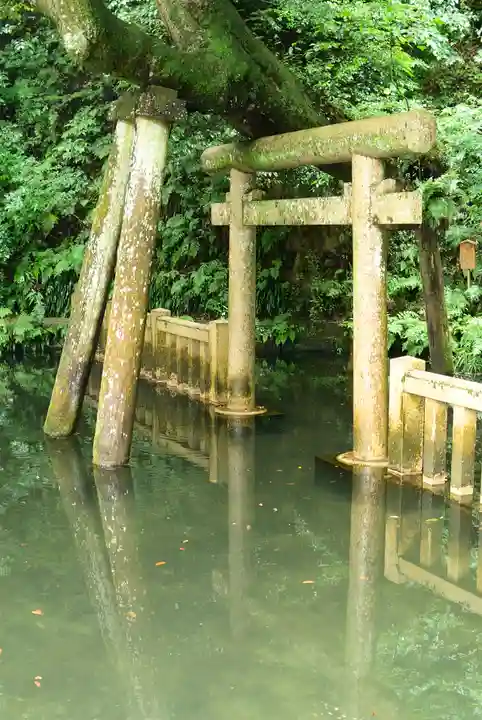 奥宮(鹿島神宮摂社)(茨城県)