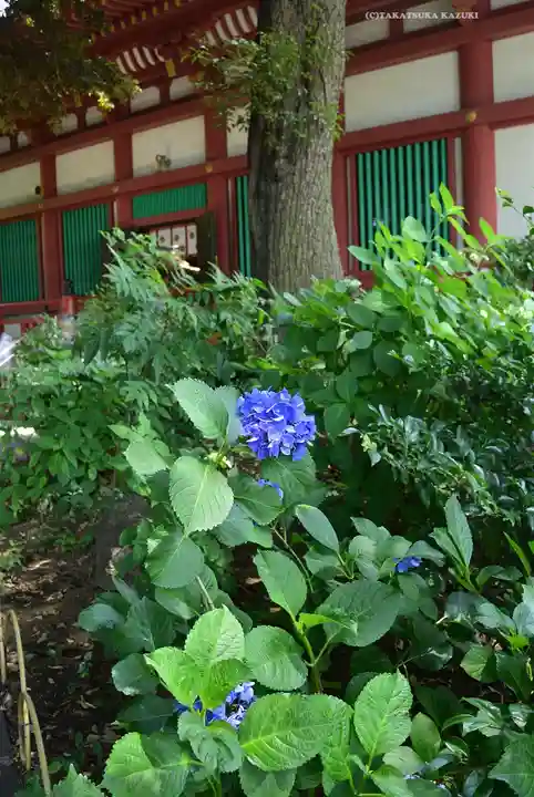 瀧泉寺(目黒不動尊)(東京都)