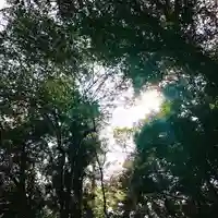 伊勢神宮外宮(豊受大神宮)の自然