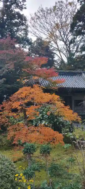 龍潭寺(静岡県)