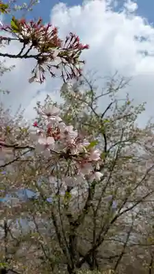 平野神社(京都府)