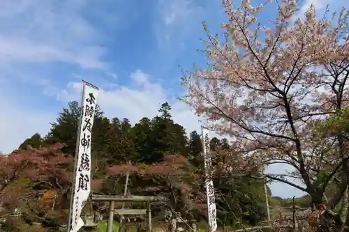 鹿島大神宮のお祭り