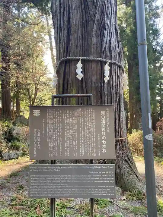 河口浅間神社(山梨県)