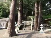 島大国魂御子神社の自然