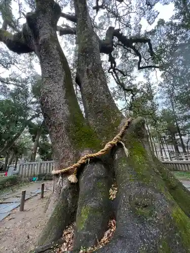 伊弉諾神宮の自然