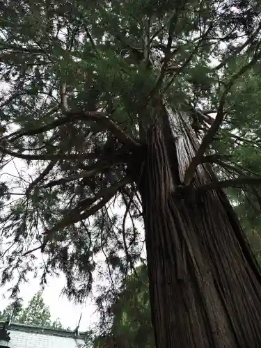 水主神社の自然