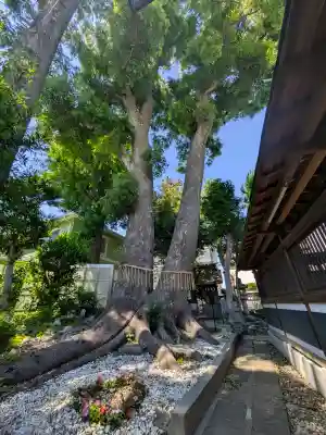鳩ヶ谷氷川神社の{uncategorized: "未分類", other: "その他", undefined: "問題あり", building: "その他建物", grave: "お墓", sacred_gate: "鳥居", guardian: "狛犬", statue: "像", buddha: "仏像", history: "歴史", nature: "自然", garden: "庭園", animal: "動物", pagoda: "塔", temizu: "手水舎", mountain_gate: "山門・神門", sanctuary: "本殿・本堂", subordinate: "末社・摂社", art: "芸術", scenery: "景色", jizo: "地蔵", ema: "絵馬", goshuin: "御朱印", omikuji: "おみくじ", items: "授与品その他", amulet: "お守り", goshuincho: "御朱印帳", eats: "食事", festival: "お祭り", votive_dance: "神楽", shichigosan: "七五三参", wedding: "結婚式", experience: "体験その他", initially: "初詣", around: "周辺", anti_infection: "感染症対策"}