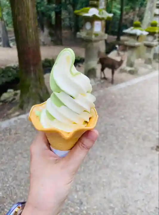 春日大社(奈良県)