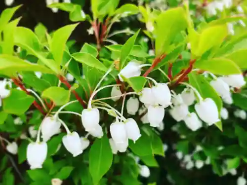 滑川神社 - 仕事と子どもの守り神の自然