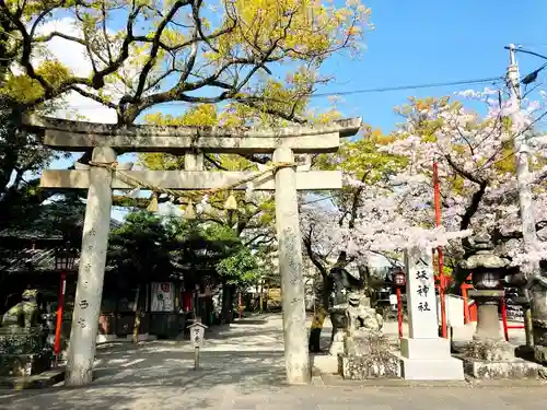 八坂神社の鳥居