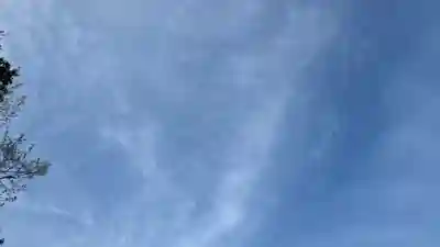 りゅうごん様(岡山県)