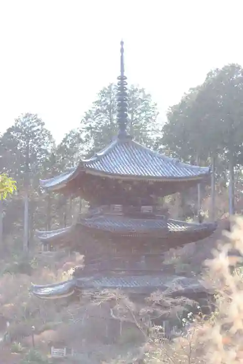 常樂寺(滋賀県)