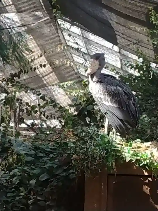 一宮神社(兵庫県)