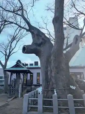 阿邪訶根神社(福島県)