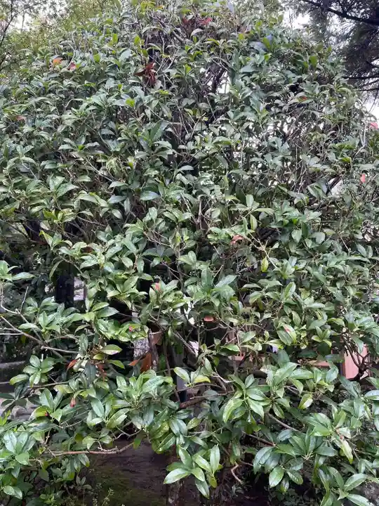 伊勢の国 四天王寺(三重県)