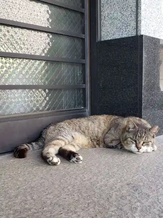 白金氷川神社(東京都)