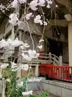 矢先稲荷神社(東京都)