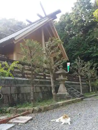 上宮天満宮の本殿・本堂