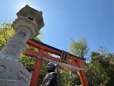高山稲荷神社の{uncategorized: "未分類", other: "その他", undefined: "問題あり", building: "その他建物", grave: "お墓", sacred_gate: "鳥居", guardian: "狛犬", statue: "像", buddha: "仏像", history: "歴史", nature: "自然", garden: "庭園", animal: "動物", pagoda: "塔", temizu: "手水舎", mountain_gate: "山門・神門", sanctuary: "本殿・本堂", subordinate: "末社・摂社", art: "芸術", scenery: "景色", jizo: "地蔵", ema: "絵馬", goshuin: "御朱印", omikuji: "おみくじ", items: "授与品その他", amulet: "お守り", goshuincho: "御朱印帳", eats: "食事", festival: "お祭り", votive_dance: "神楽", shichigosan: "七五三参", wedding: "結婚式", experience: "体験その他", initially: "初詣", around: "周辺", anti_infection: "感染症対策"}