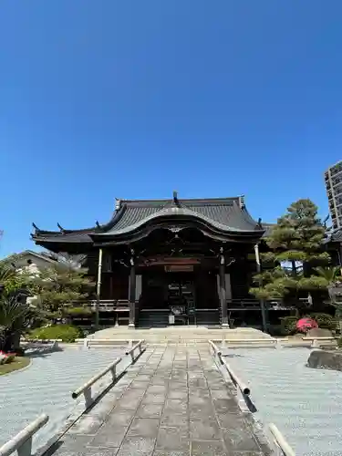 近松寺の建物その他