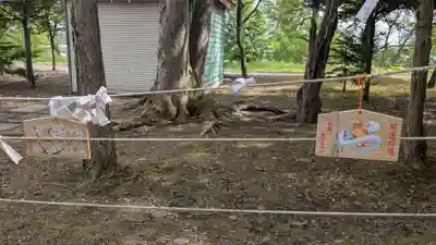 東神楽神社の絵馬
