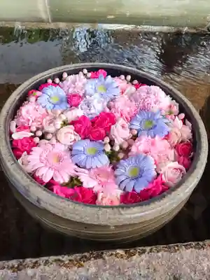 津島神社の手水舎
