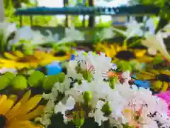 立志神社の手水