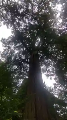 須佐神社(島根県)
