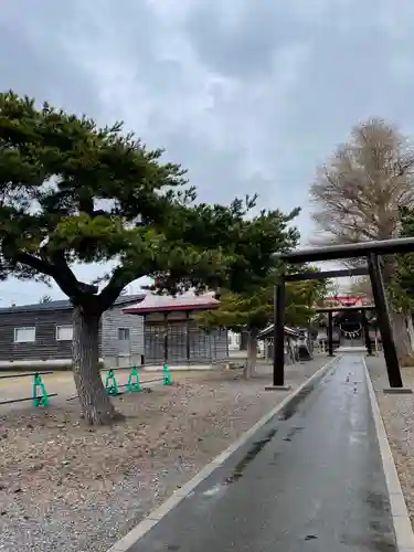 上磯八幡宮の鳥居