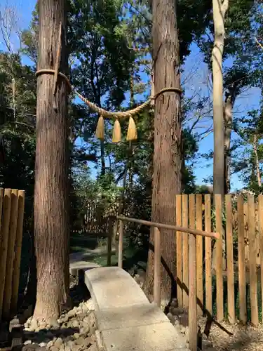 岩槻久伊豆神社の自然