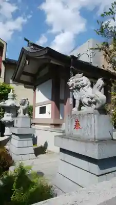 羽黒神社の狛犬