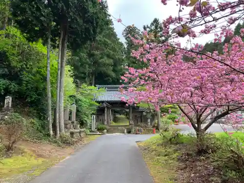 種月寺(新潟県)